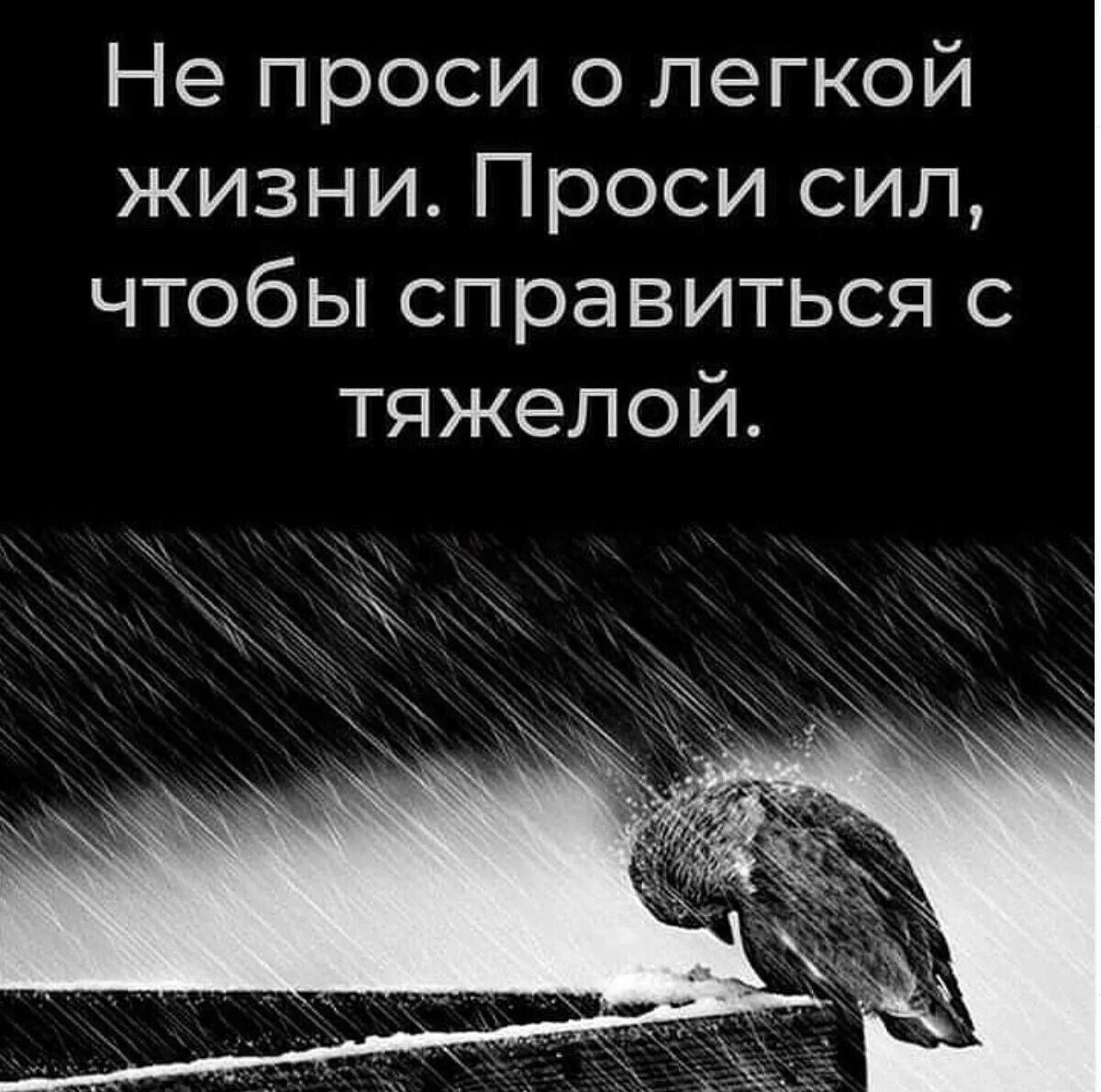 Всю жизнь борьба за счастье 290. Бог любит терпеливых. Жизнь любит терпеливых. Жизнь борьба афоризмы. Жизнь это борьба цитаты.