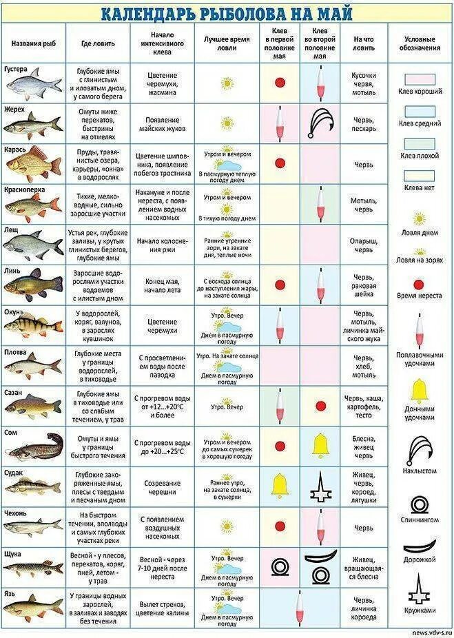 Клев интернет. Таблица клева карася. Таблица наживок для рыбалки. Календарь рыбака. Лунный календарь рыболова.
