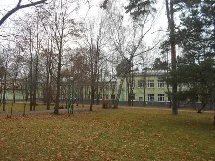 Школы сестрорецка курортного