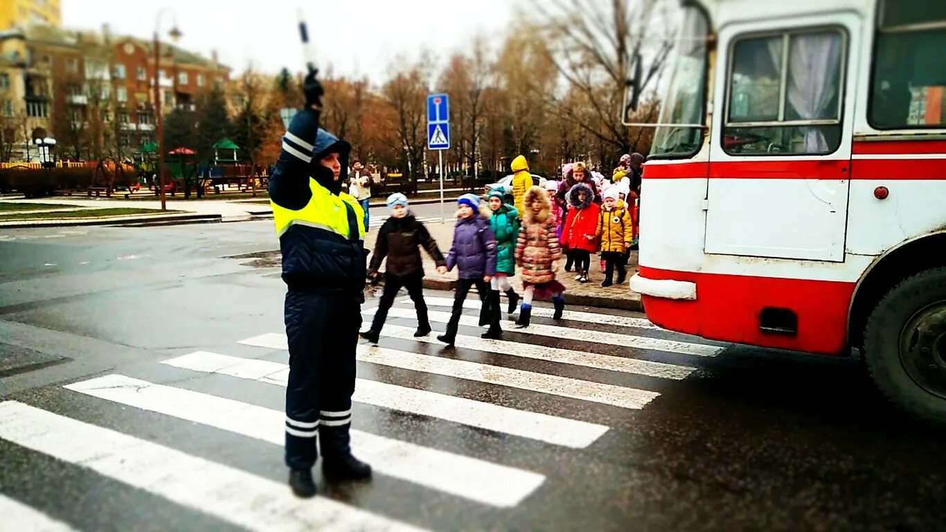 Видео про безопасность. Дети переходят дорогу. Участники дорожного движения. Школьники переходят дорогу. Дети движение дорога.