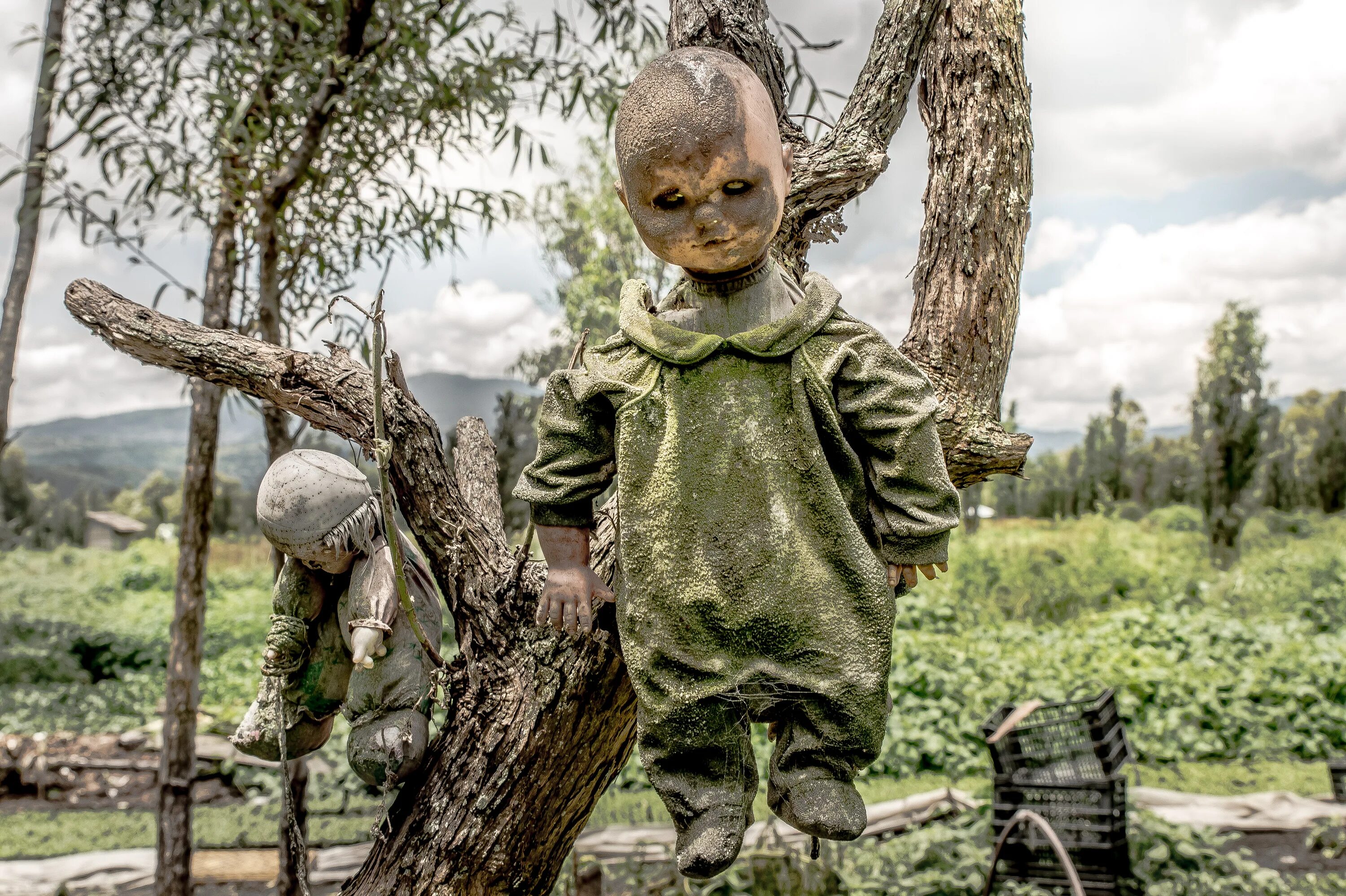 Самое страшное лето. Дон Хулиан остров кукол. Остров кукол (Island of the Dolls), Мексика.