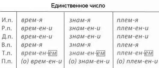 Склонение разносклоняемых существительных таблица. Склонение существительных на мя таблица. Окончания разносклоняемых существительных таблица. Разносклоняемые существительные таблица склонения.