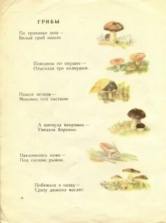 Пошли в лесок