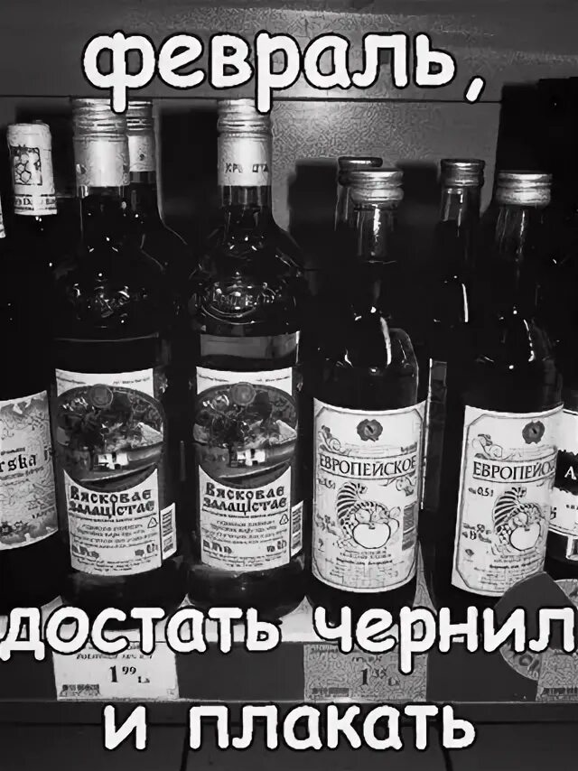 Февраль достать чернил и плакать история. Февраль достать чернил и плакать читать. февраль достать чернил и плакать текст. февраль достать чернил и плакать мем. бродский февраль достать чернил и плакать.