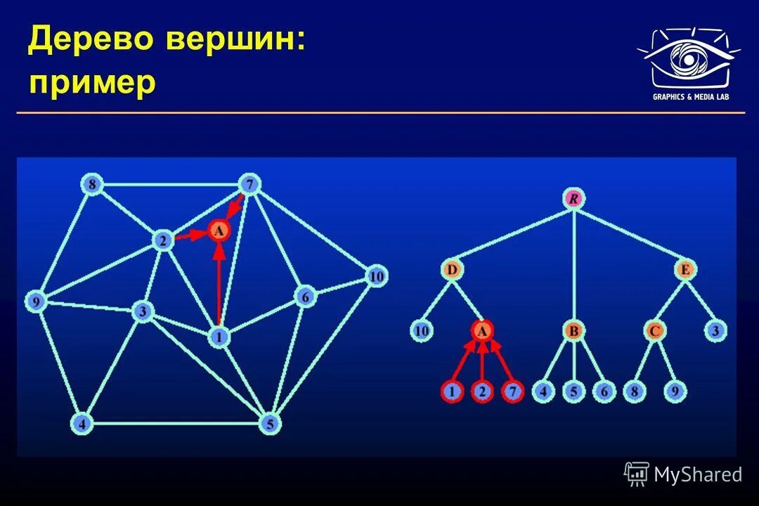 Степень бинарного дерева. Комбинаторика бусы. Как определить высоту бинарного дерева. Графы деревья. Вершины бинарного дерева.