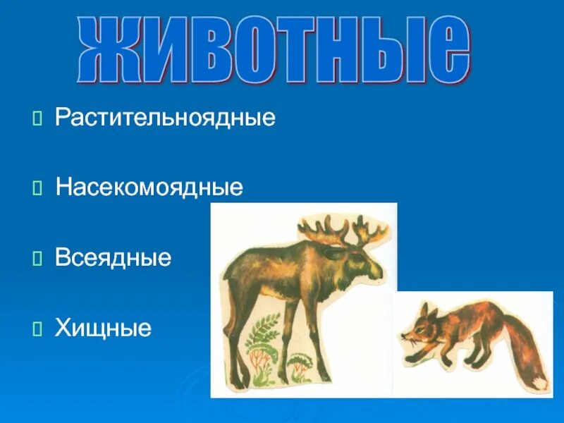 Лис плотоядный или всеядный. Хищники травоядные всеядные. Всеядные Насекомоядные. Растительноядные Хищные Насекомоядные. Животные растительноядные Насекомоядные Хищные всеядные.