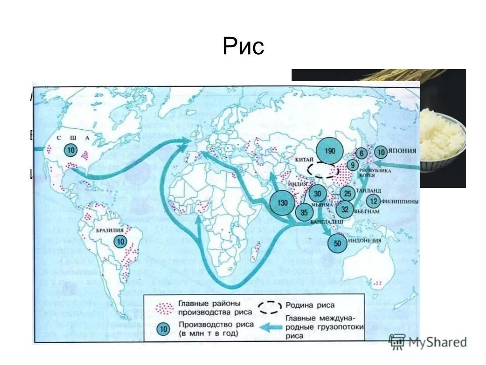 Рис экономические районы. Районы возделывания риса. Главные районы возделывания риса. Главные районы производства риса. Важнейшие грузопотоки сельского хозяйства.