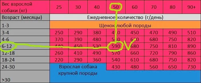 Сколько корма нужно давать собаке. Норма корма для щенка немецкой овчарки 2 месяца сухого корма. Норма корма для собак мелких пород 7 кг. Таблица нормы корма для собак. Нормы кормления собак таблица.