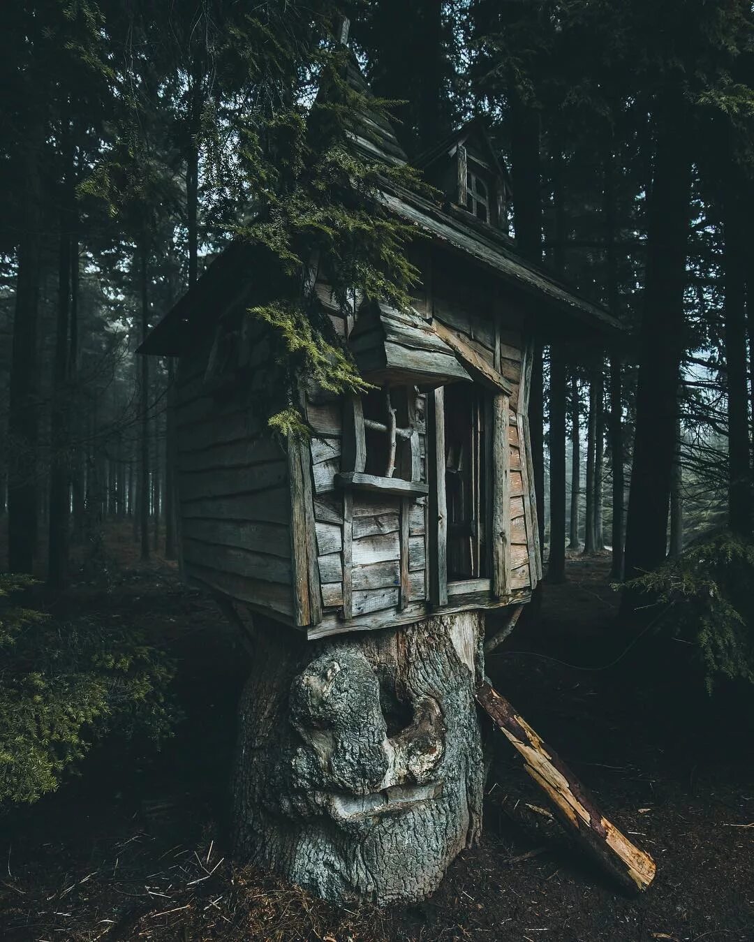 Заброшенная Хижина в лесу. Хижина в лесу Екатеринбург. Заброшенный дом в лесу. Страшный дом в лесу. Неведомый дом