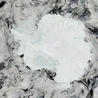 На сколько растаяла антарктида