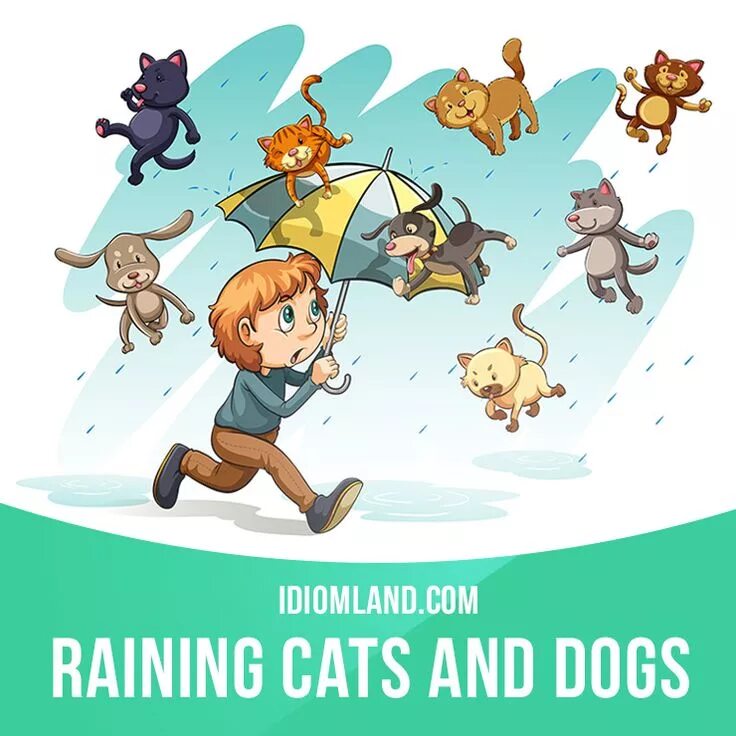 Как по английски будет дождь. Идиомы raining Cats and Dogs. Идиома it's raining Cats and Dogs. Rain Cats and Dogs идиомы. Cats and Dogs идиома.