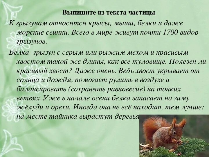 Найти частицу в тексте. Текст с частицами. найди частицы в тексте. текст с частицами 7 класс. художественный текст с частицами.