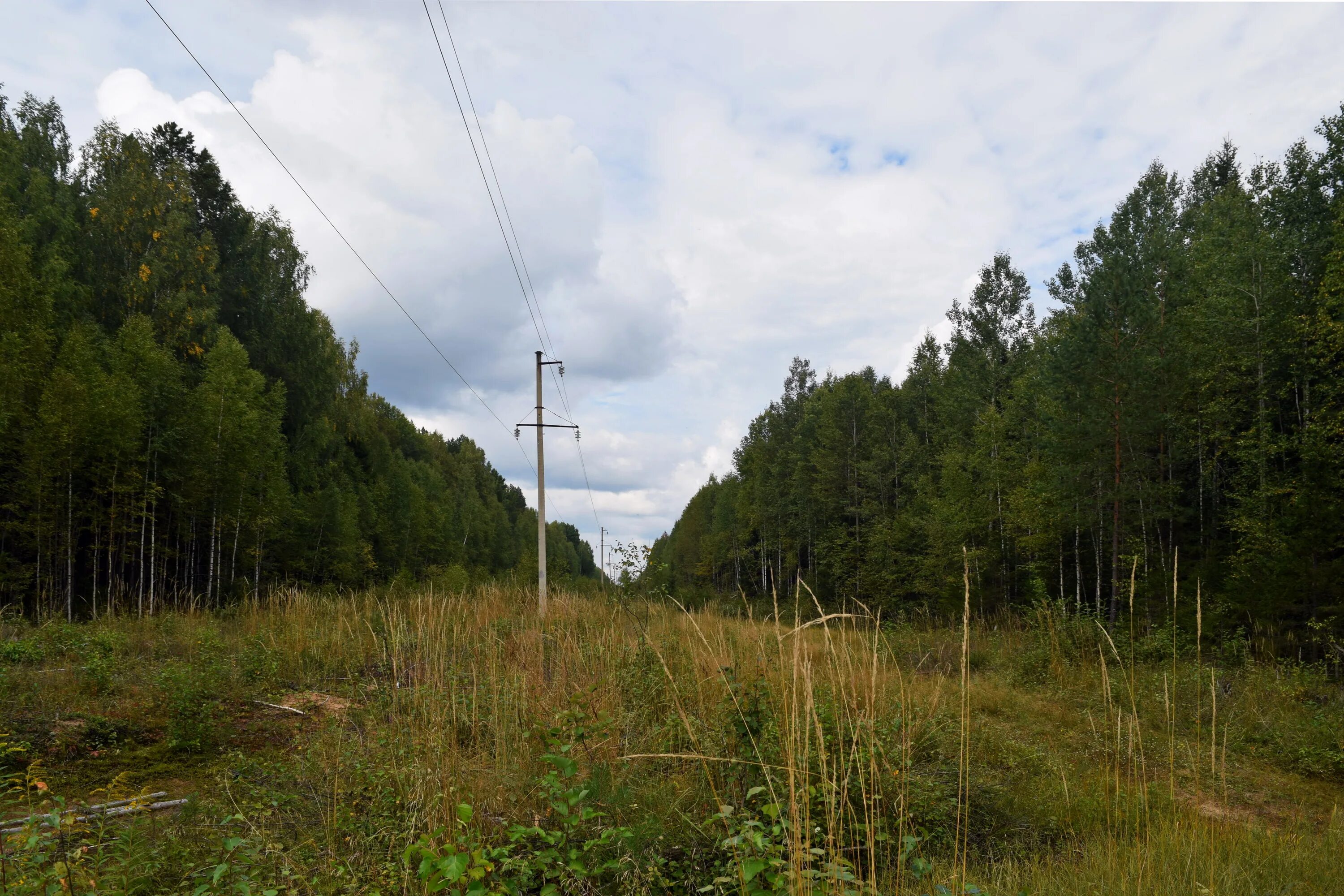 Линии просек. Просека лэп. лесная просека. фотографирование просеки. до просеки.
