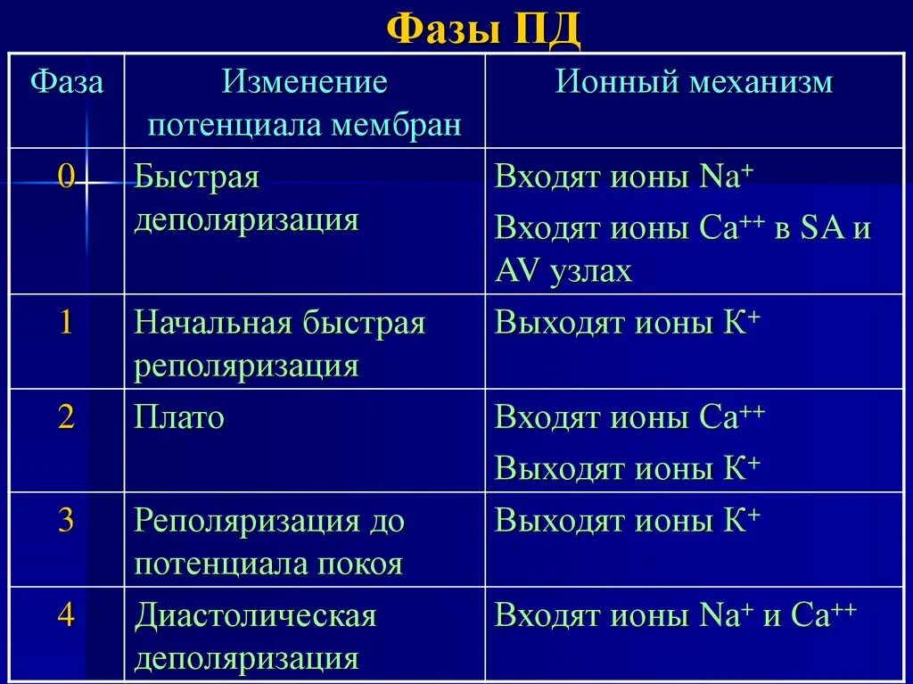 Цели пд. Потенциал действия его фазы ионные механизмы. Фазы потенциала действия. Фазы и ионные механизмы потенциала действия. Фазы потенциала действия таблица.