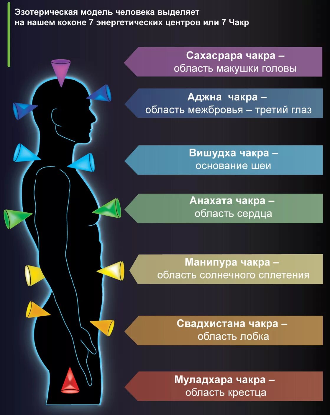 7 Чакр человека. Энергетические центры человека. Энергетические центры человека чакры. Чакры человека описание. Чакры названия и расположение