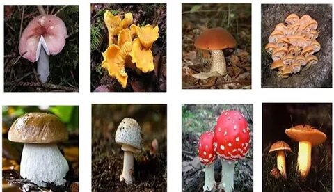 Бардан кейін орысша порно көру