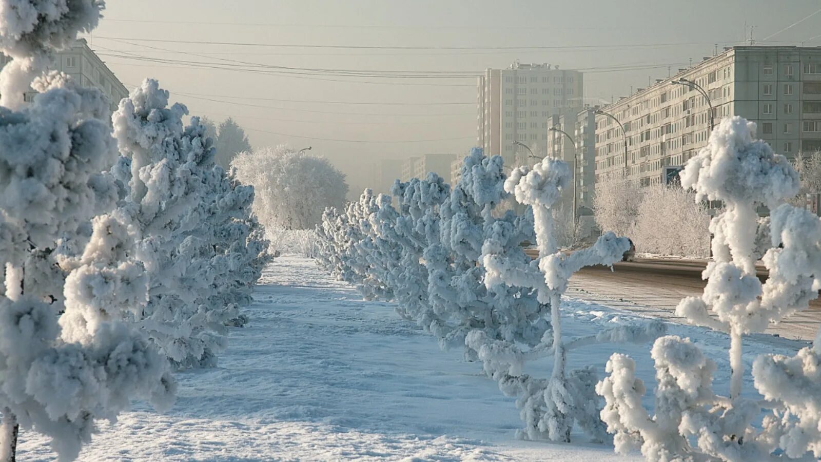 Сильный Мороз. Холодная зима. Сильный Моро. Настоящая зима.