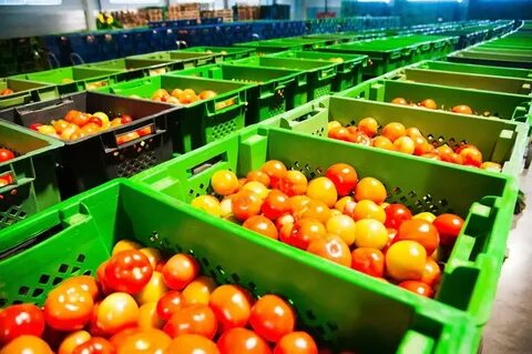 Vegetable processing