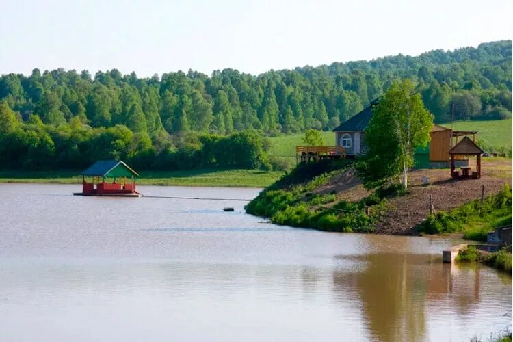 Погода в новозыково красногорского района. Озеро Киреево Красногорский район. Озеро Киреево Красногорский район Алтайский край. Алтайский край Красногорский район турбаза озеро Киреево. Новозыково Красногорский район Алтайский край.