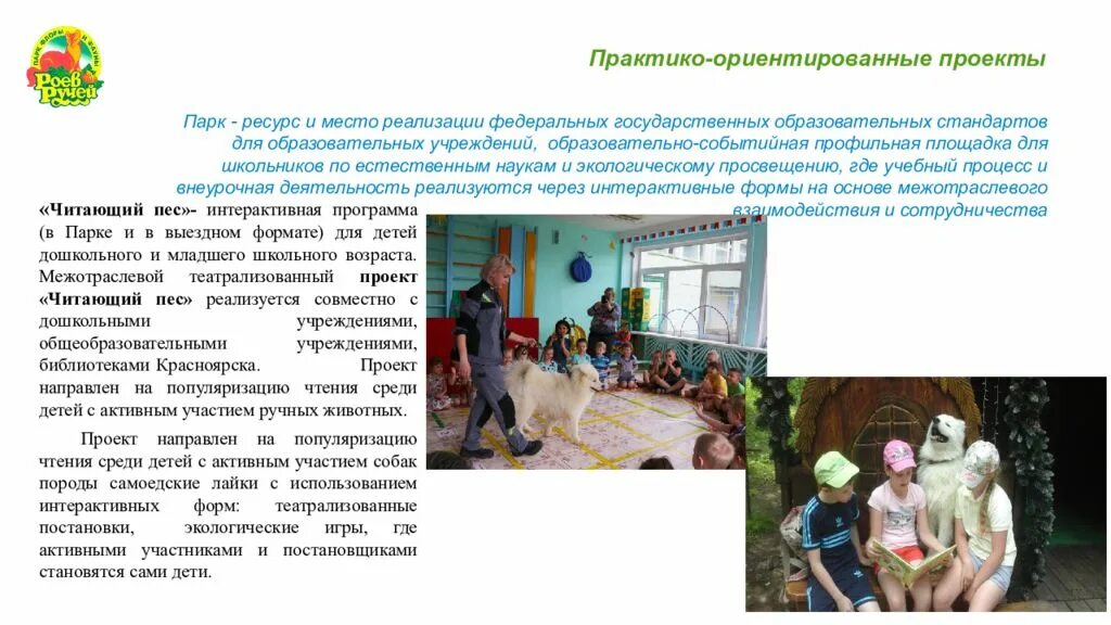 Шаги для реализации проекта
