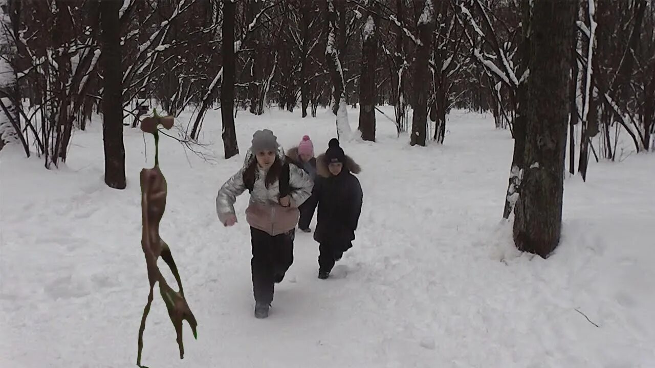 Сиреноголовый существует или нет. Сиреноголовый в реальной жизни в лесу. Охота на людей в лесу в реальной жизни.