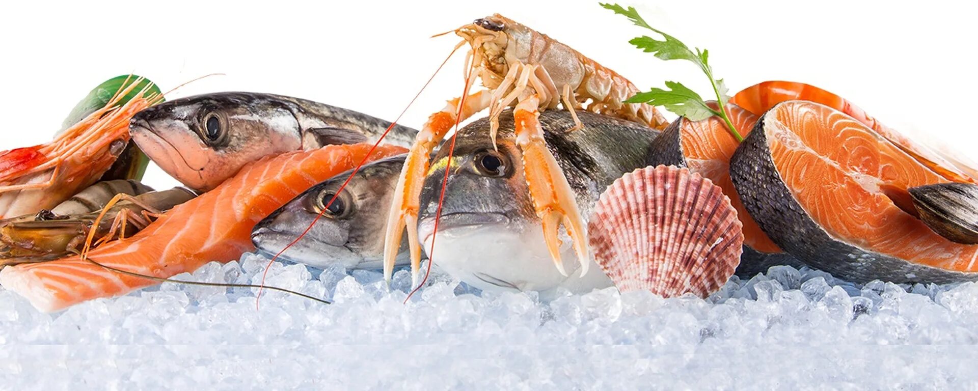 040 2016 о безопасности рыбы. Морепродукты на белом фоне. Рыба и морепродукты. Морепродукты фон. Рыба в ассортименте.