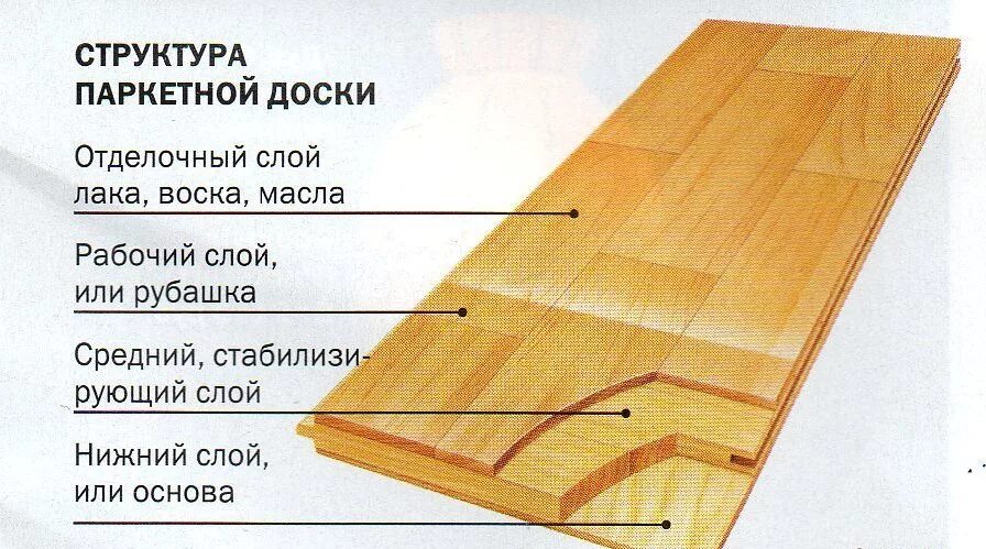 Паркетная доска отличие. Конструкция схема паркетной доски. Состав паркетной и инженерной доски. Строение паркетной доски. Структура паркетной доски.