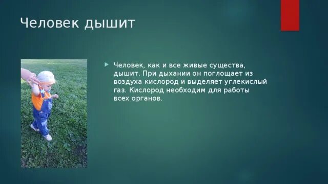 Как дышит человек. Для дыхания необходим. Для чего человек дышит. Что выдыхает человек.