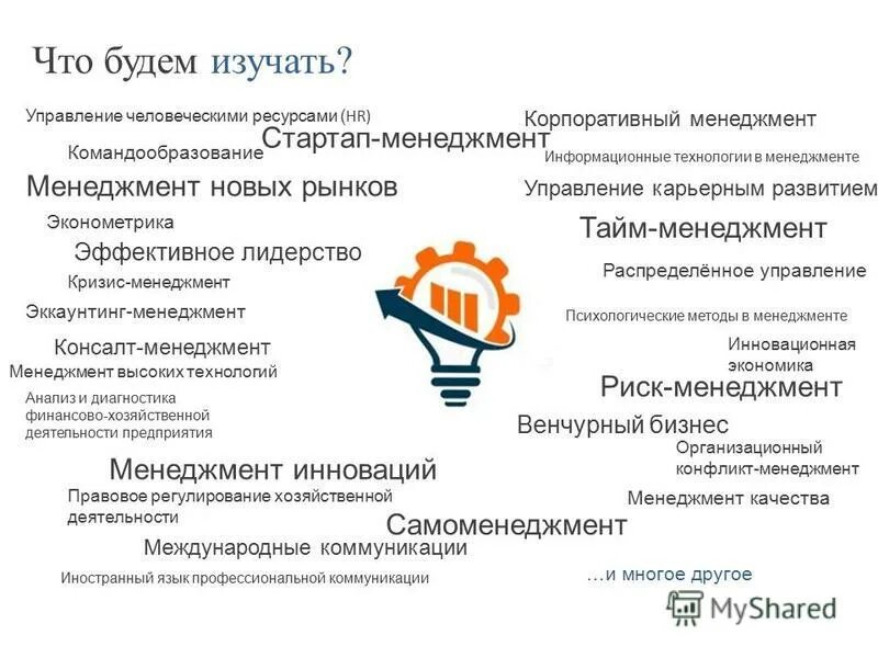 управление стартапом