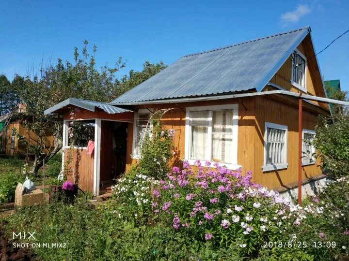 Сады покупка продажа. Дача Дивногорск. Дача с баней Коминтерн. Садовый участок Ижсталь 1. 1300 Км станция фото дач.