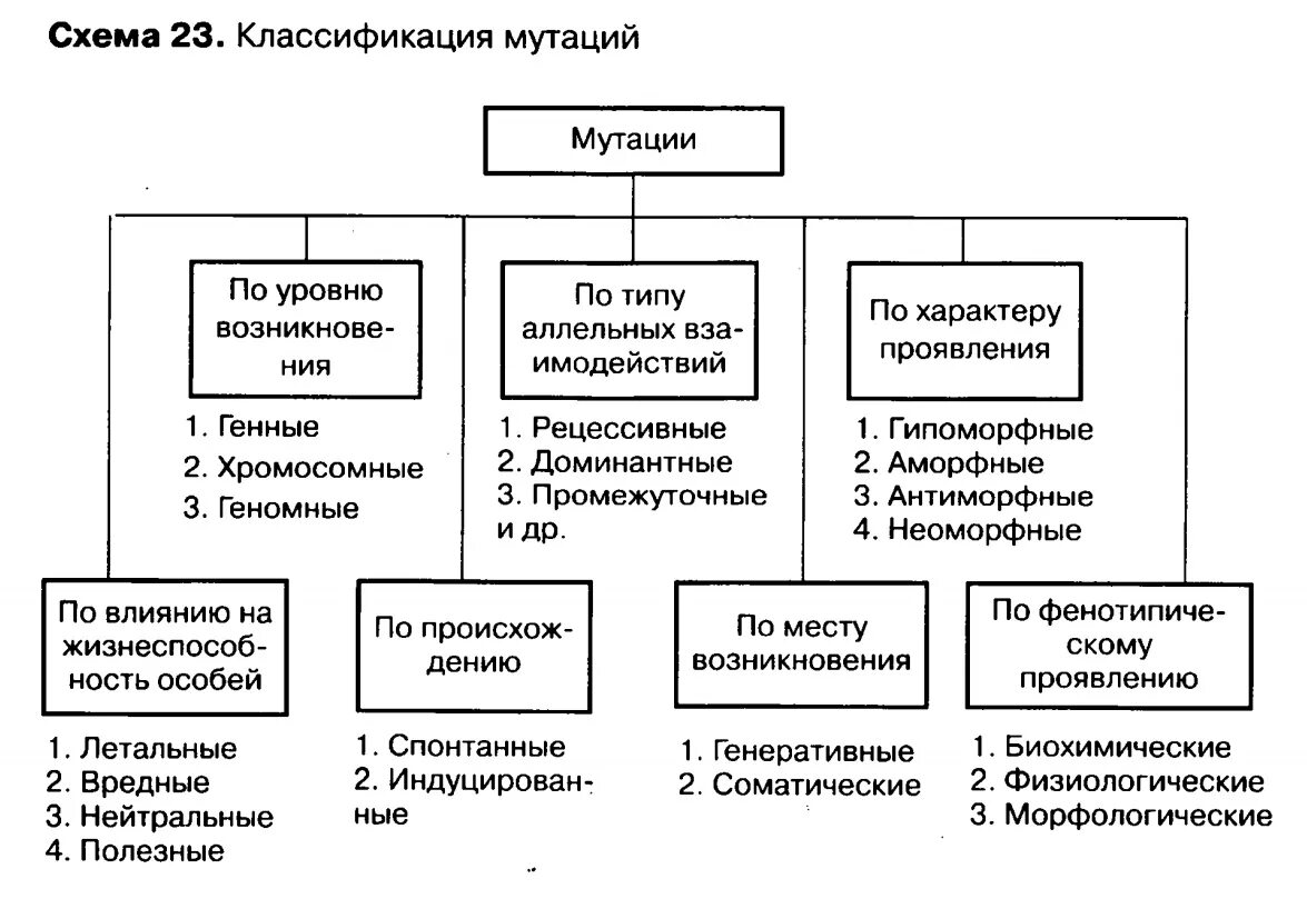 Классификация мутаций схема. Классификация мутаций таблица. Таблица «классификация мутаций генетика. Составьте схему классификации мутаций..