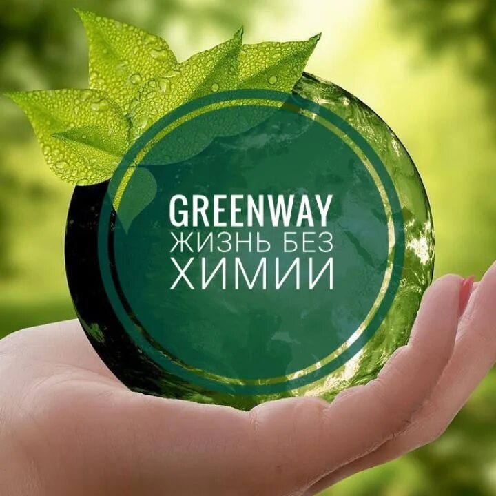 Гель гринвей отзывы. Эко продукция Greenway. Экомаркет Гринвей. Эко товары Гринвей. Гринвей логотип.