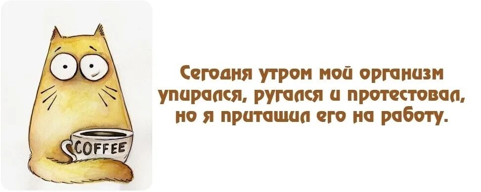 Доброе утро работающим. Смешные высказывания про среду. Смешные цитаты с добрым утром. Цитаты про среду прикольные. Среда цитаты смешные.