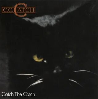 Catch stay