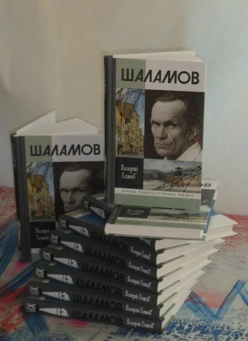 Шаламов ЖЗЛ. Шаламов книги. Есипов Шаламов. Книжная выставка Шаламов.