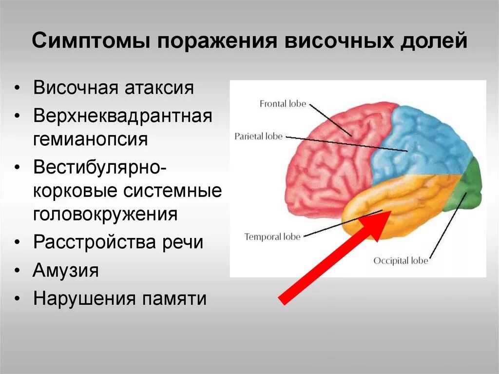 Повреждения долей головного мозга