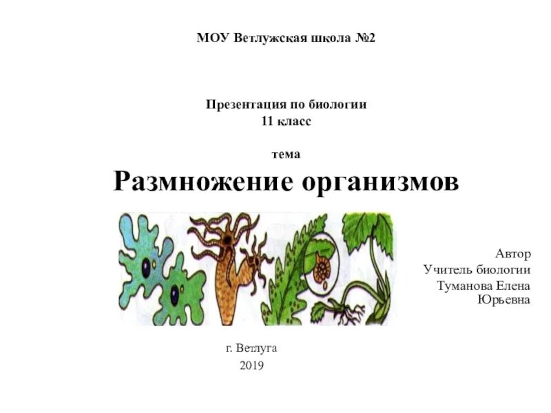 Урок 16 биология. Урок биологии презентация. Темы по биологии 11 класс. Темы для проекта по биологии 11 класс. Презентация проект по биологии.