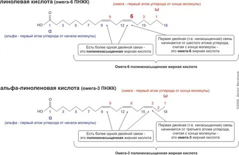 Линолевая кислота связи