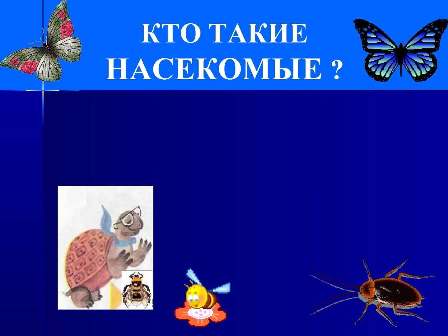 Кто такие насекомые 1. Насекомые презентация. кто такие насекомые. насекомые презентация для начальной школы. насекомые начальная школа.