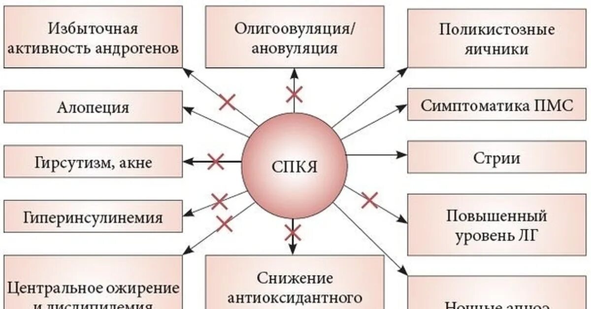 Поликистозные яичники лечение. Синдром поликистоза яичников диагностика. Поликистоз яичников патогенез. Синдром поликистозных яичников Клин ческие рекомендации. Клинические проявления СПКЯ.