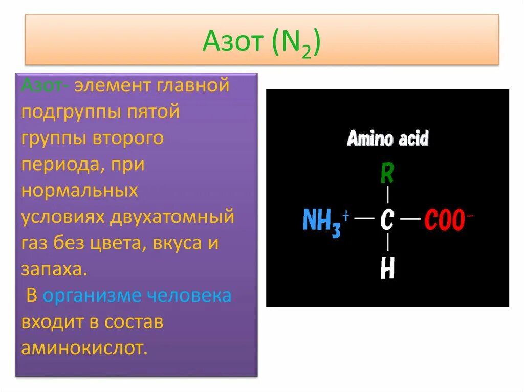 Значение элемента азота. Азот основной компонент. Азот n элемент группы подгруппы. Азот в организме. Азот в организме человека.