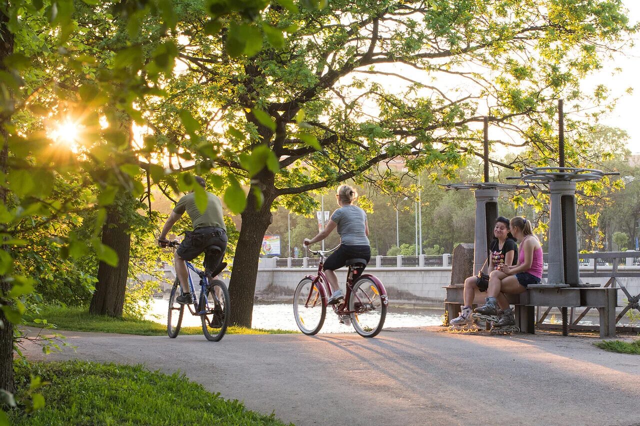 Видео велосипедист на крестовском. Велодорожка Елагин остров. Парк велодорожка Питер. Велосипедная прогулка в парке. Люди отдыхают в парке.