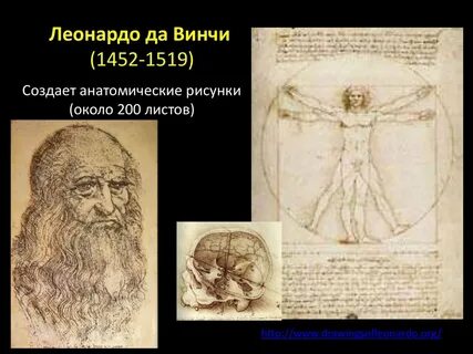 Леонардо да винчи в каком веке жил