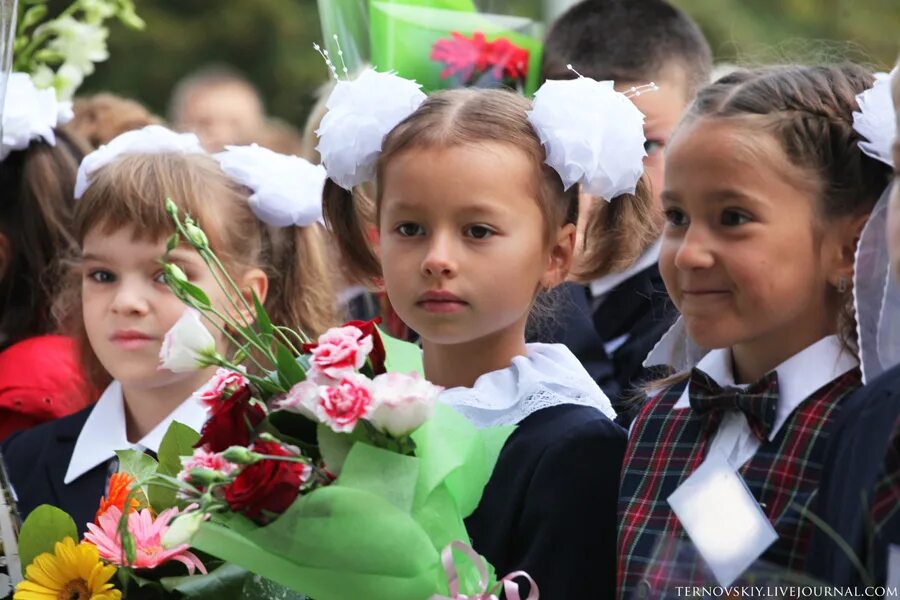 Гимназии москвы отзывы. 1 Гимназия школа в Москве. Гимназия 9 Москва. Гимназия Москва современная. Как выглядит школа Московская гимназия.