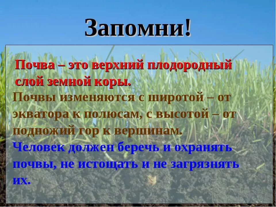 Сообщение на тему почвы. Почва презентация. презентация на тему почва. доклад о почве. сообщение на тему почва.