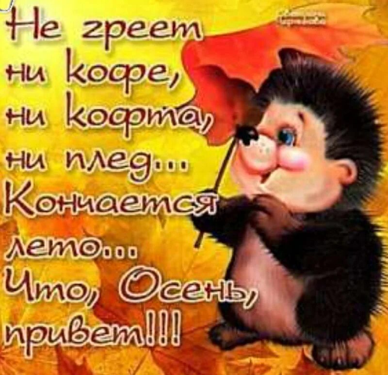 лето закончилось. открытка с последним летним днем. поздравление с последним днем лета. поздравление с последним днем лета. 31 августа последний день лета.
