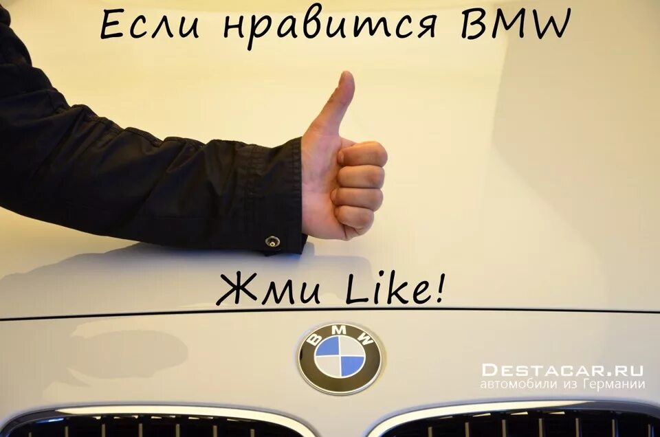 I like car. Цитаты про БМВ. БМВ лайк. Подписка БМВ. Поговорки про БМВ.