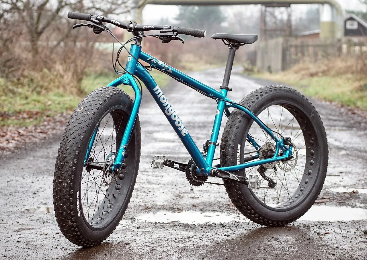 Фэтбайк Mongoose. Фэтбайк Mongoose Argus. Мангуст фэтбайк 2020. Велик Mongoose фэтбайк.