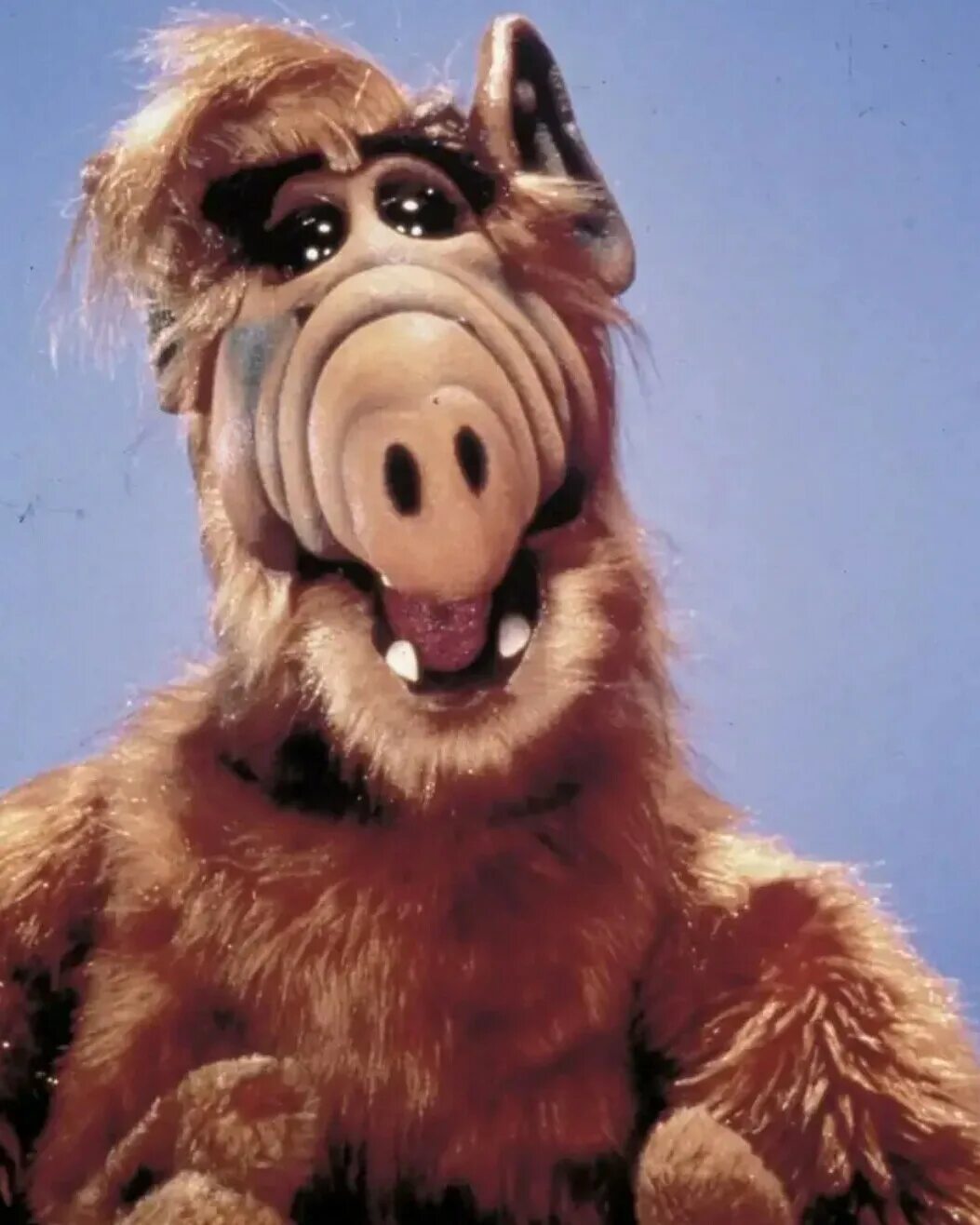 Мохнатый шутник с планеты мелмак. Alf 1986.