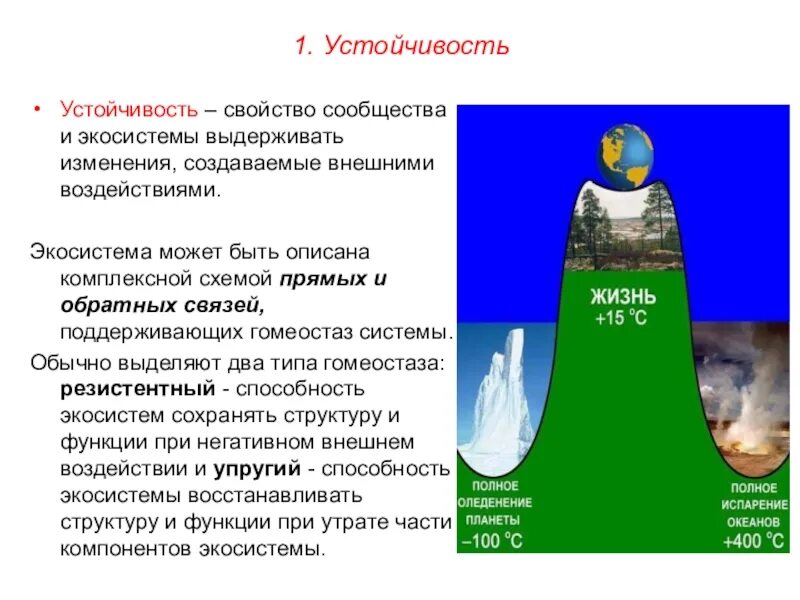 От чего зависит устойчивость. Устойчивость сообществ. устойчивость экологических систем. устойчивость экосистемы примеры. устойчивые экосистемы примеры.